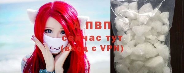 хмурый Белокуриха