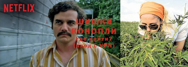 хмурый Белокуриха