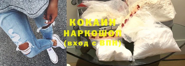 хмурый Белокуриха