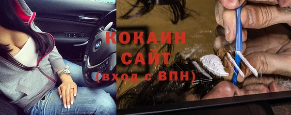 хмурый Белокуриха